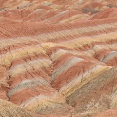 马蹄寺藏裕快餐厅 User Photo