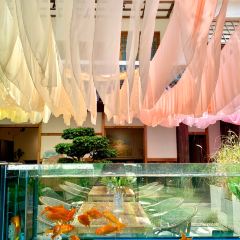 介个院子·草坪团建·围炉冰粉 User Photo