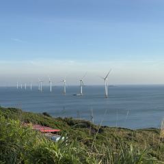 石井元宵店 User Photo