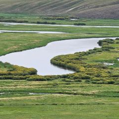 子昱饭店 User Photo