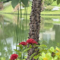 晓雯人家 User Photo