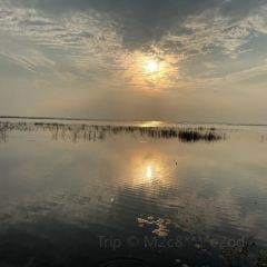 臭鳜鱼人家·老字号徽菜 User Photo