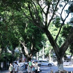 临江后街鳝丝(临江店) User Photo