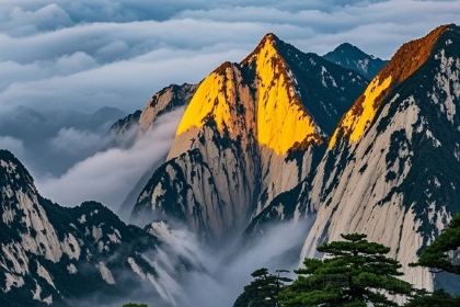 Ziwulu Zhangji Roujiamo (Cuihua Road)