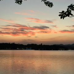 橫沥汤粉張用戶圖片