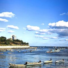 咱妈家·海菜包子(长峰店) User Photo