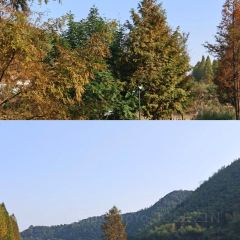 老李家燒烤·安吉網烤（安吉店）張用戶圖片