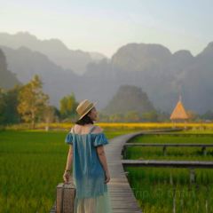 Green Restaurant User Photo