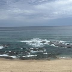 Portsea Hotel Bistro張用戶圖片