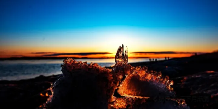 喜家德蝦仁水餃(九馬路店)