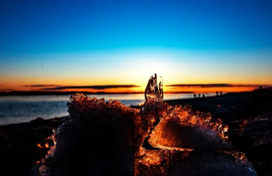 喜家德蝦仁水餃(九馬路店)