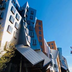 Nine Tastes User Photo