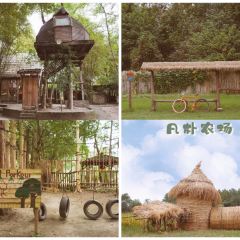 Fanpu Life User Photo