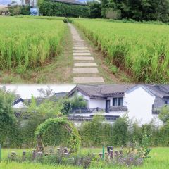 春沐源咖啡厅 User Photo