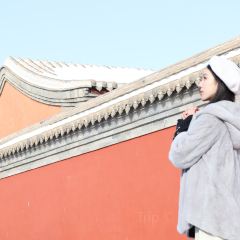 蒙格樂蒙餐張用戶圖片