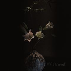 無一堂·茶空間 User Photo