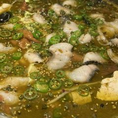 老河邊成都肥腸魚（無錫首店）張用戶圖片