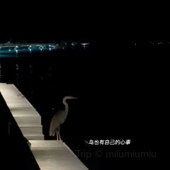The Quiet Zone 여행 사진