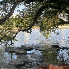 唐沫茶兮(东街盛裕店) User Photo