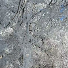 金秋鱼餐馆 User Photo