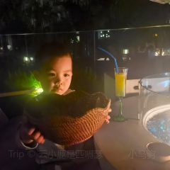 廣西崇左祕境麗世度假村·良食餐廳張用戶圖片