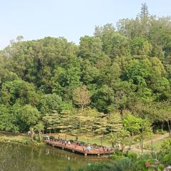 小隱圍屋張用戶圖片