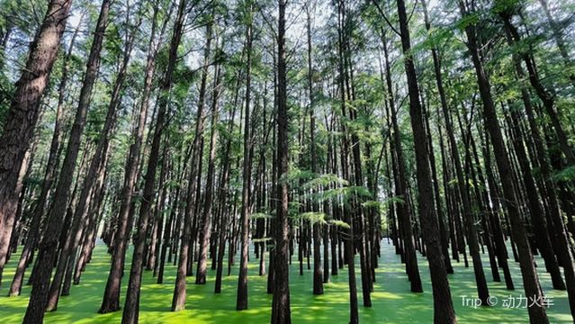 bei hu gong yuan shui shan lin