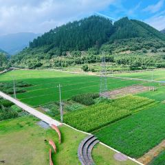 YONG XIANG TU CAI GUAN User Photo