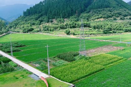 YONG XIANG TU CAI GUAN