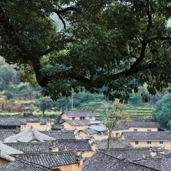 松阳记忆 User Photo