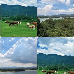 南湾鱼味馆 User Photo