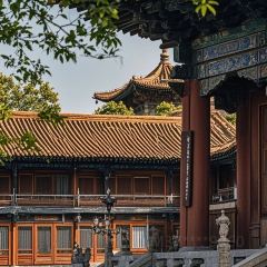 XIAO CAI YUAN User Photo