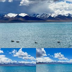 RU YI LIN KA TONG GUO MAO NIU ROU User Photo