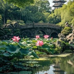 Baijiazhaobing User Photo