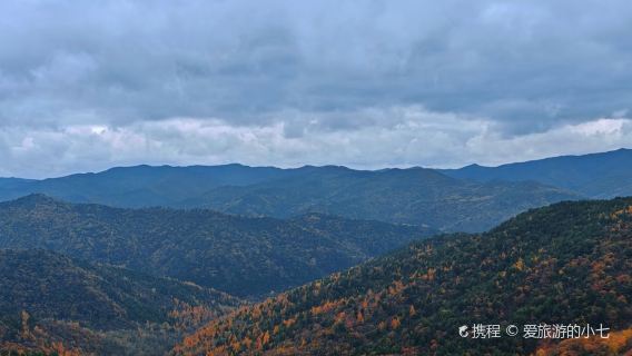 qin zhi dao jing dian