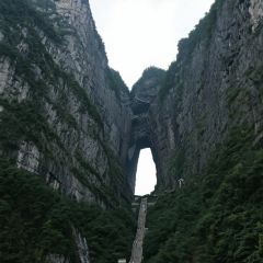 BEN LUO BO CAN YIN User Photo