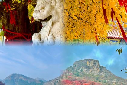 Yuanfeiweifang Restaurant (kuiwenmen)