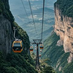 代術回鍋肉總店張用戶圖片