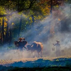 福宁海鲜大排档 User Photo