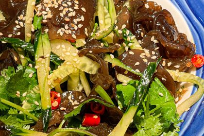 金光鴿王(華貿天地店)