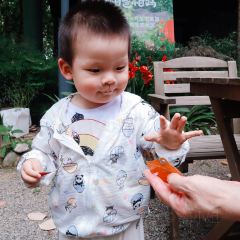 铁牛妈妈的餐厅 User Photo