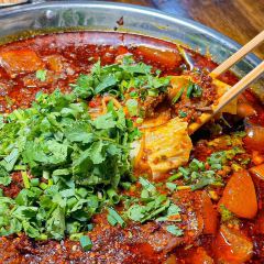 牟子胡胖·鲜烧牛肉(创始店) User Photo