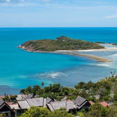 The Cocoon RESTAURANT & BAR User Photo