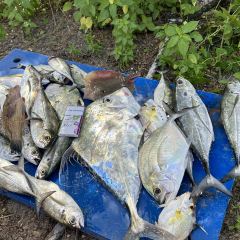 Penang Hai Boey Seafood User Photo