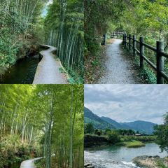 面包与空气 User Photo