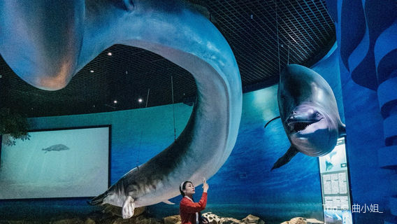 Primorskiy Oceanarium