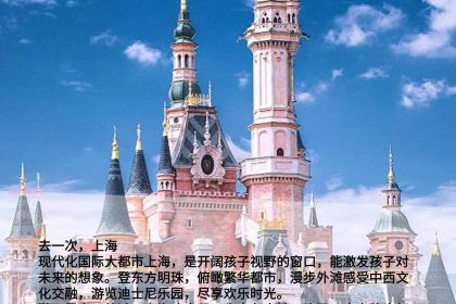 HAI JI DAO ZI ZHU CAN TING