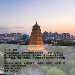 HAI JI DAO ZI ZHU CAN TING User Photo