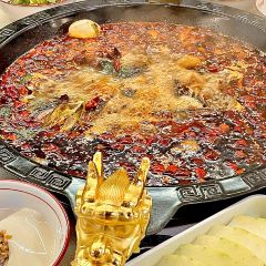 大江美蛙鱼火锅(五星路店) User Photo