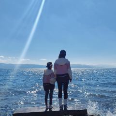 抚仙湖·自在汐岸咖啡餐吧 User Photo